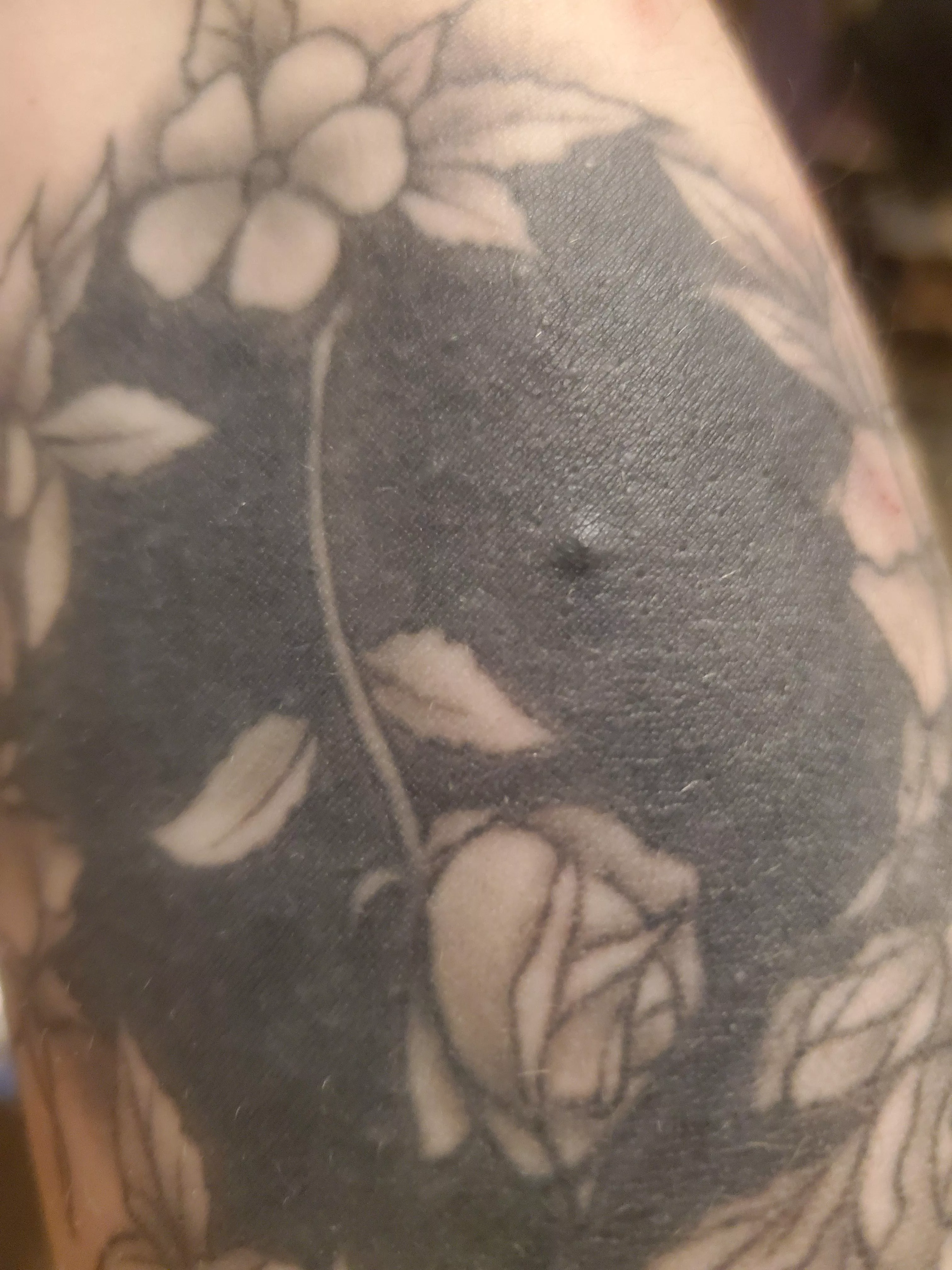 😐 dont pop it, dont pop it, dont pop it… THIS IS KILLING ME. Forbiddenpop ~ posted by BlackBeltBunny