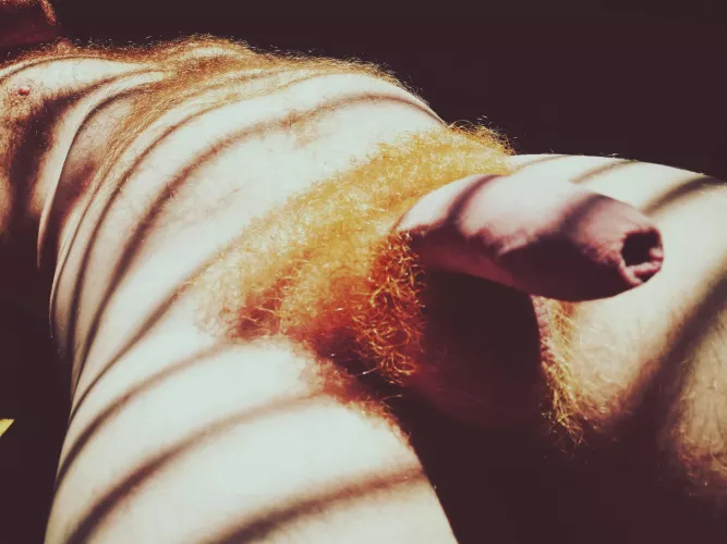 Dont tell me what to do unless you are naked. 😈 by Prince-Ginger_