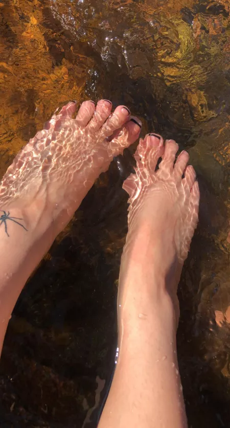 don’t they look refreshing? 🥰😋 by IsopodHoliday6513