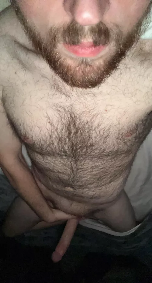 Don’t wanna get out of bed this morning by musicmaker2010