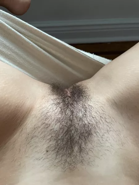 Don’t you want to pet her by mollysbloomers89