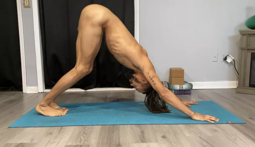 Downward Facing Dog is a full body pose.