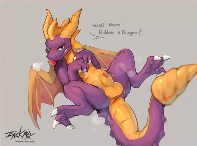 Dragon Ride [Zackary911] by Pupal_Dugal