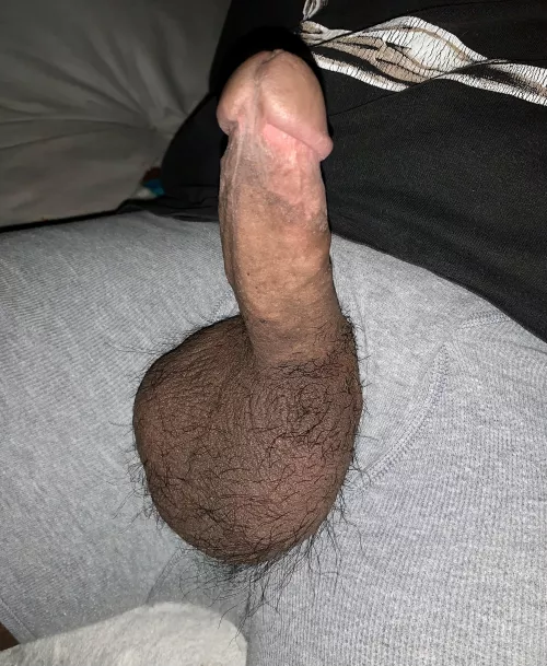 Drain my balls? by BeardDad210