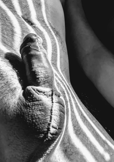 Draped in Sun Stripes (self shot) by Titian-Urbino