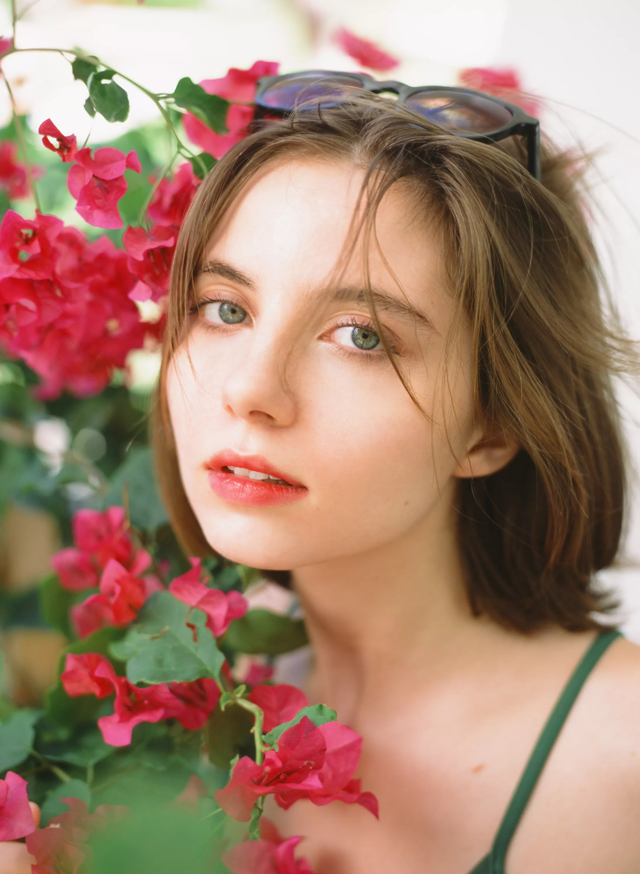 Dreams of summer flowers posted by liararoux