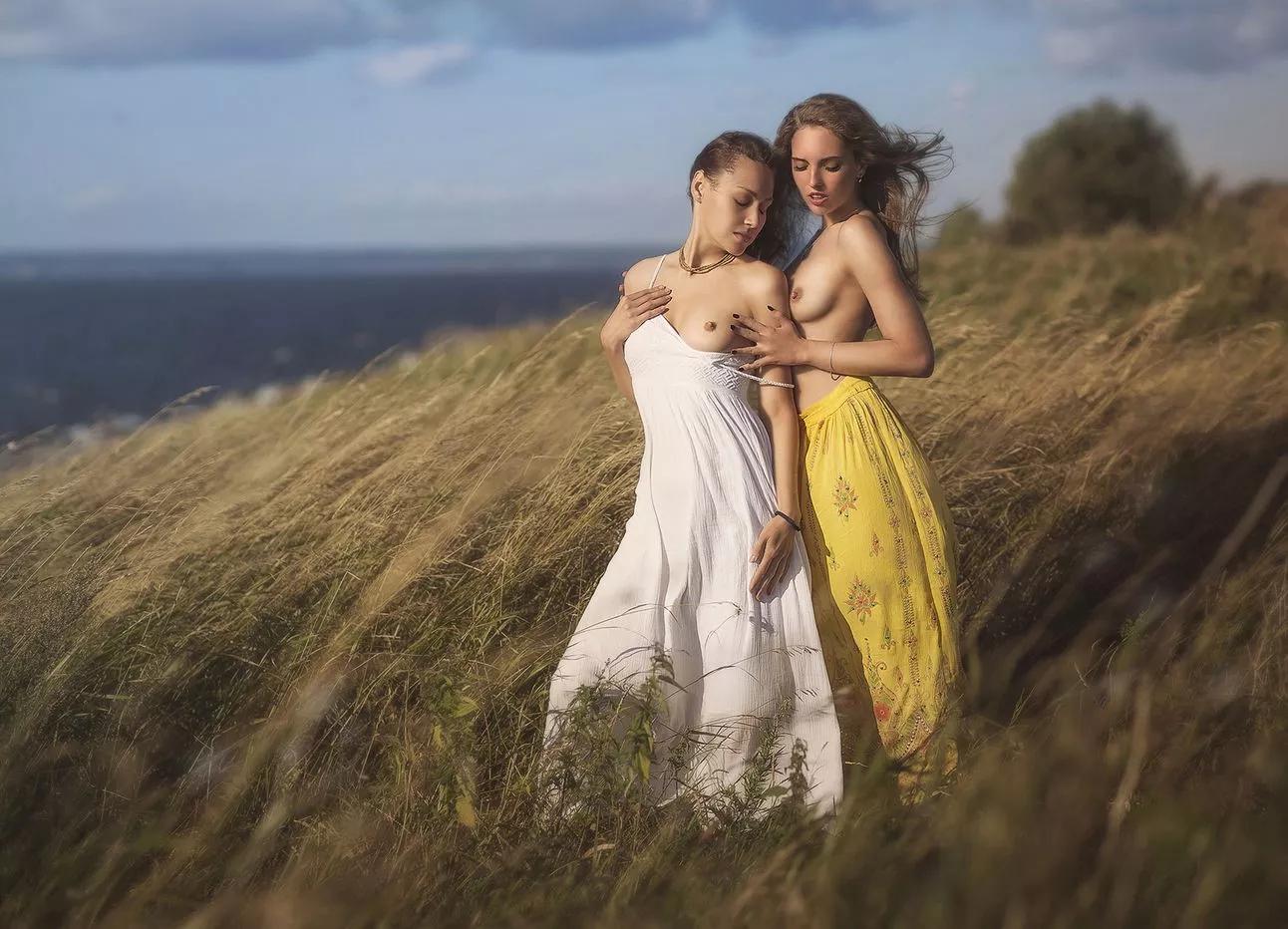 Dreamy posted by jetpoweredbee