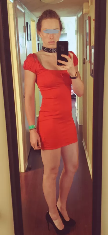 Dressed up my collar to make a Scene with Mr. Wolf at a very nice restaurant. by DallaSnug