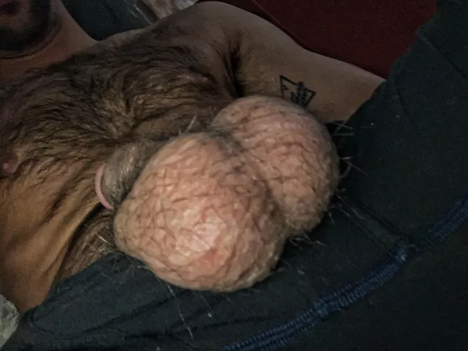 Dribble by Vinny_Verse