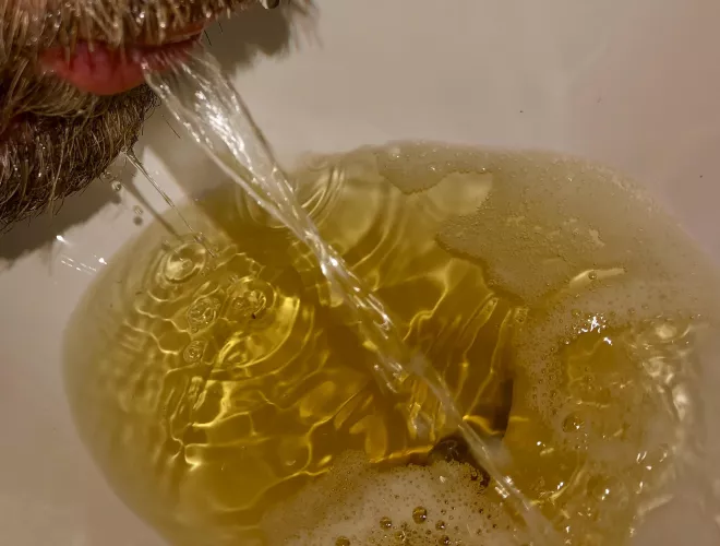 Drinking urinal piss by XX_BitchBoy_XX