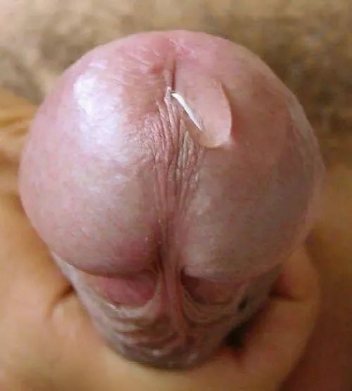 Drip by dutch_anon84