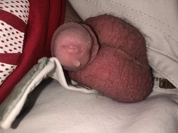 Dripp by Actual_Mouse_5315