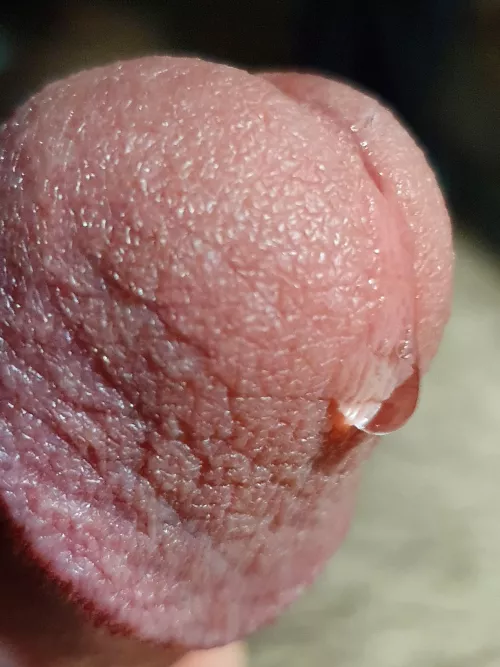 Dripping by anony1122b