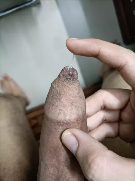 Dripping like crazy today by lordoflots