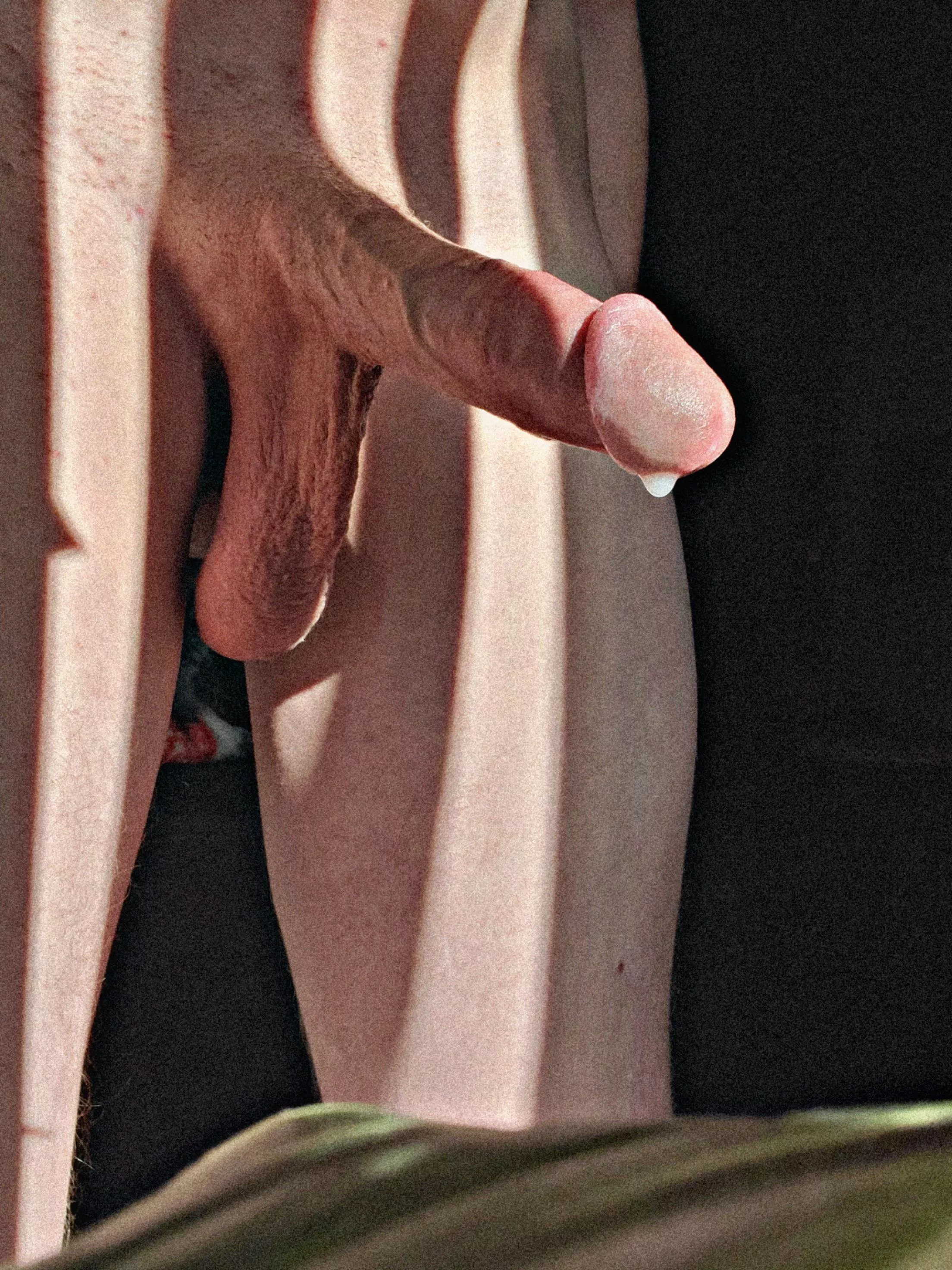 Dripping 🍆💦😜 posted by HungWhiteBull69