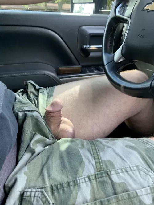 Driving with my cock out by DescriptionOpening39