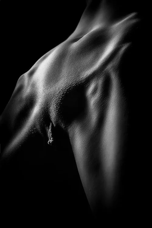 Drooping Petals by digitalcitizenalpha