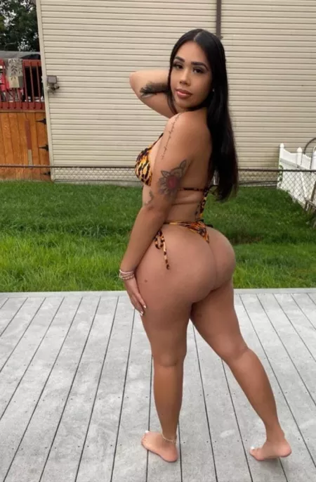 Dump truck by HarryRichard2069