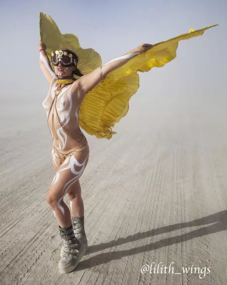 Dust Angel (OC from 2019) by lilith_wings