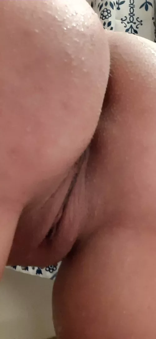 Dying for a pretty face to sit on by littlexhoneyxbunny