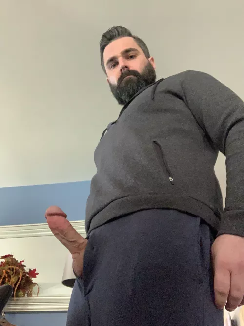 Early morning wood by Beardy890