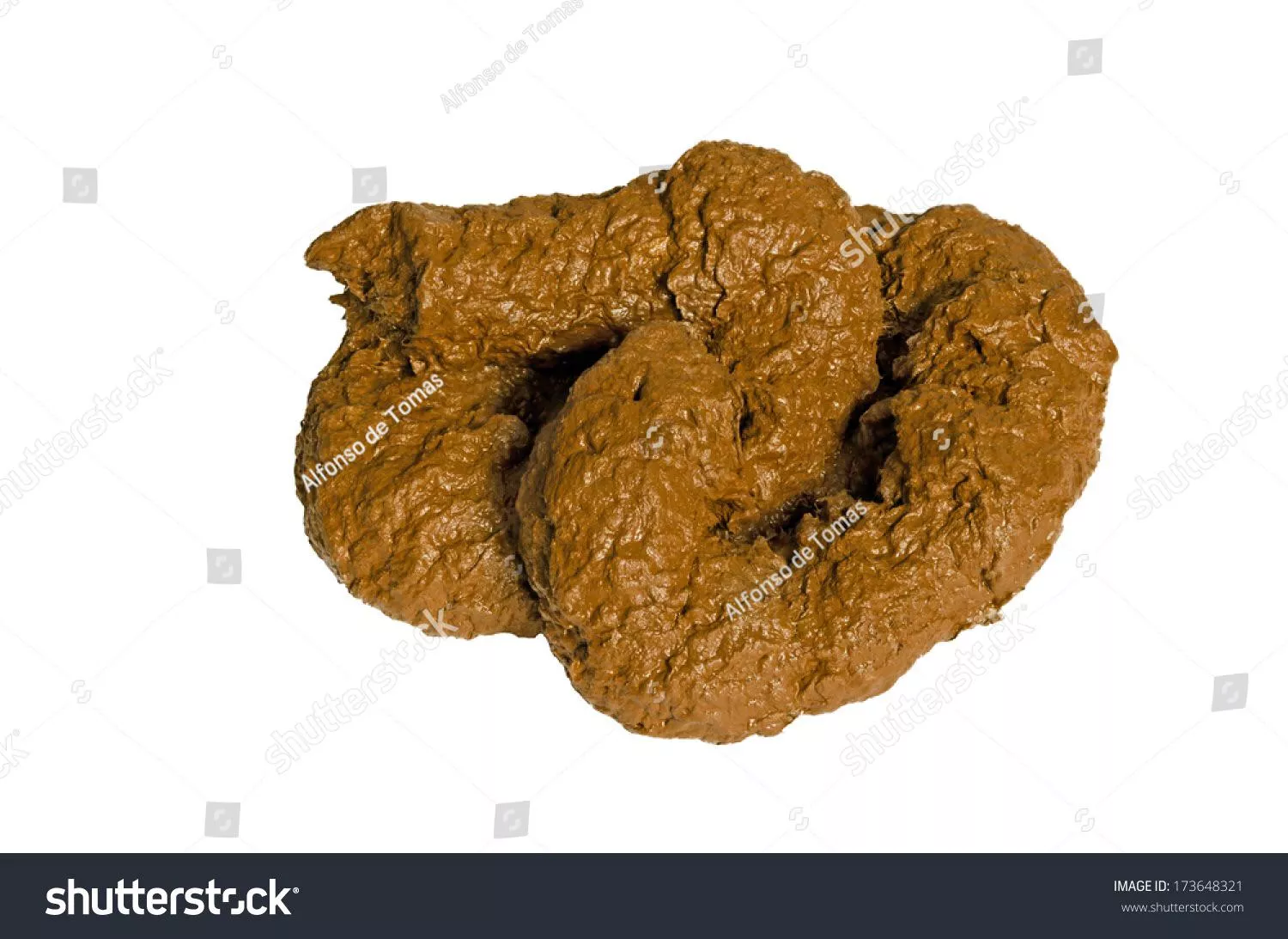 Eat shit bitch posted by FUCKYOUPUNKASSBITCH