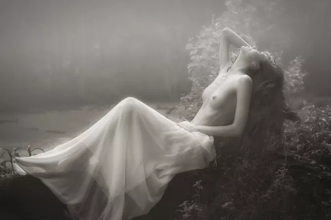 Elegant by gyaneeguru