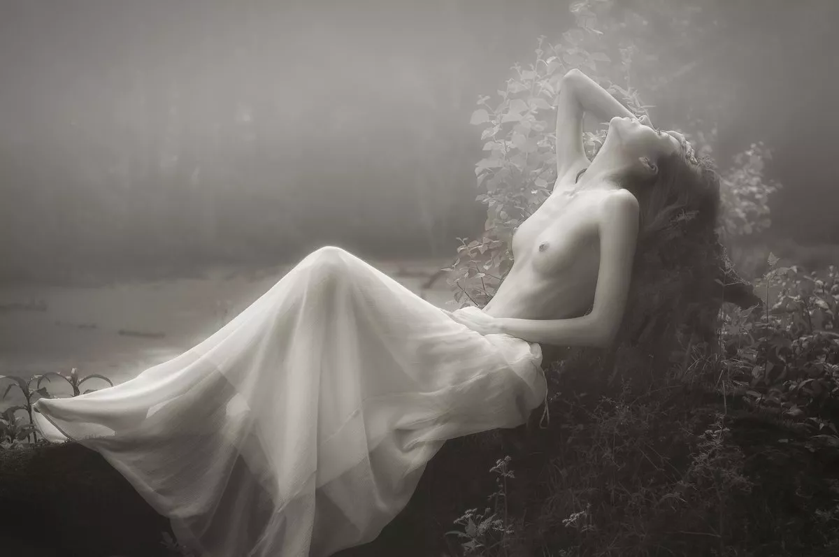 Elegant posted by gyaneeguru