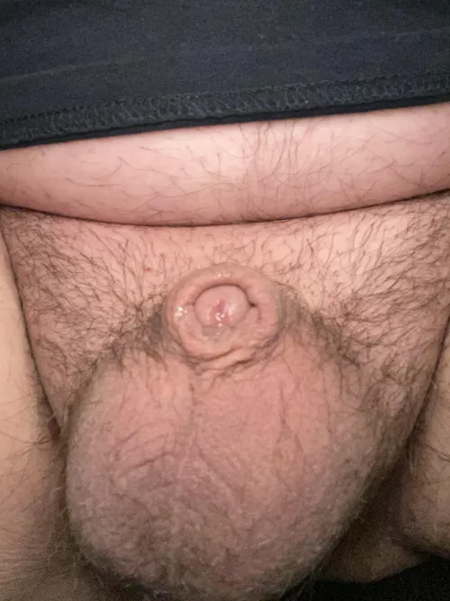 Embarrassed by shmeckal