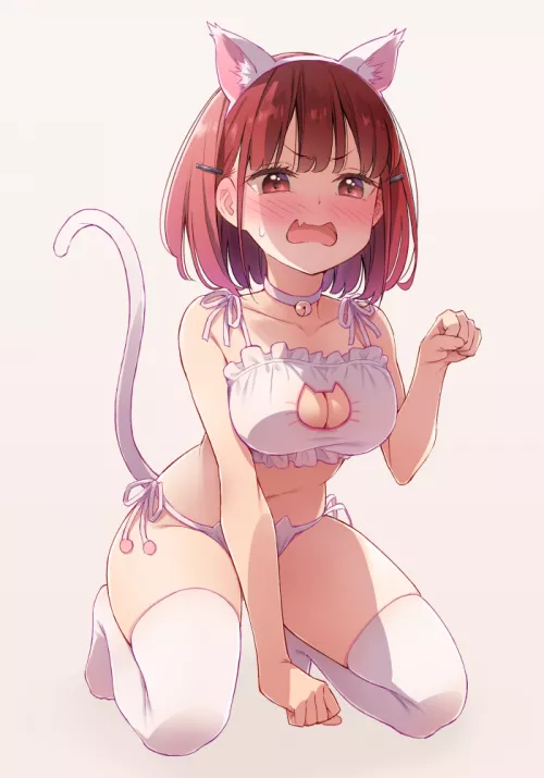 Embarrassed neko by creedroyce