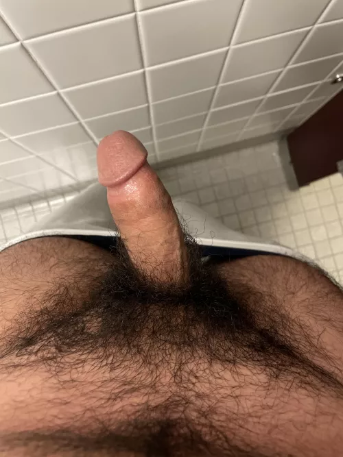 Embracing the bush by Beautiful_Sky_3798