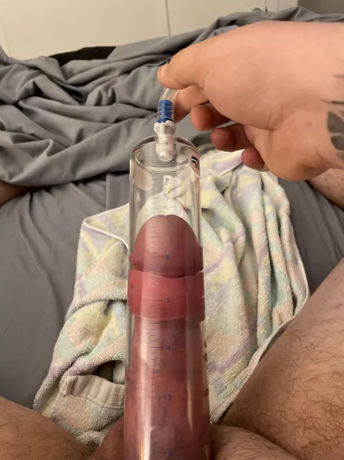 End result by Ammoplant