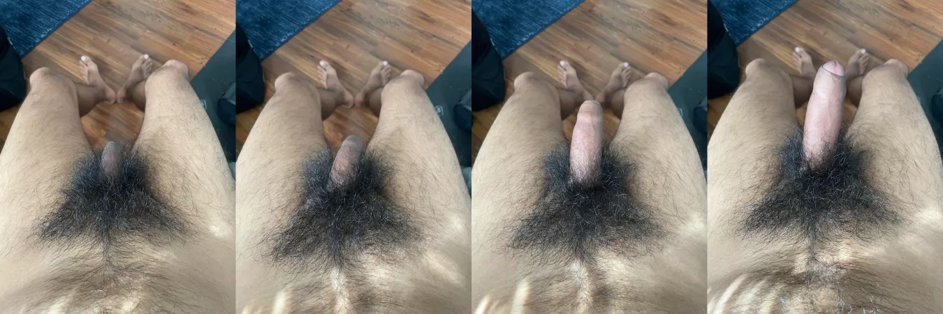 Engorgio! 🪄 by hairyforeskin1993