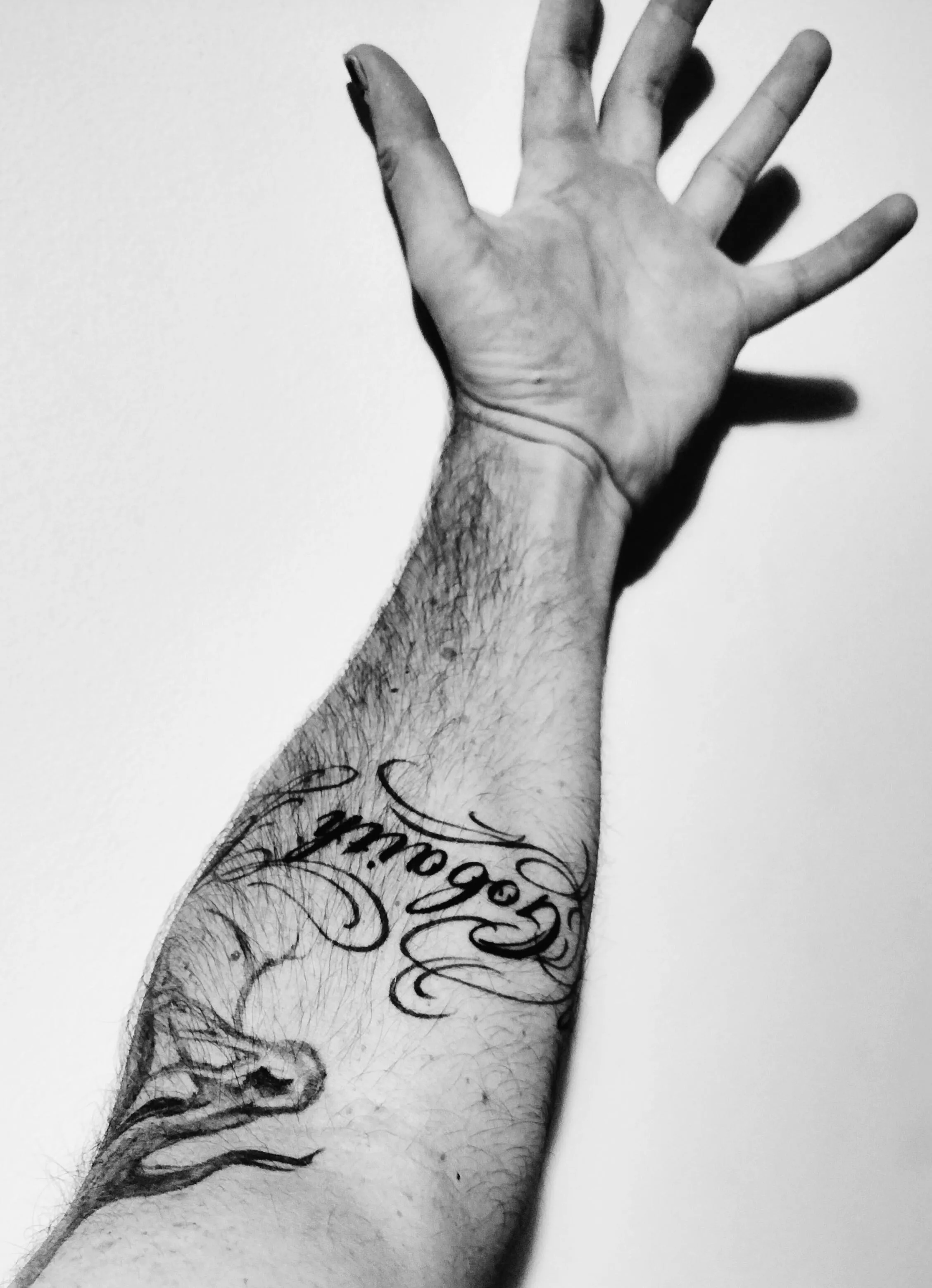 Enjoy posted by Magic_Tristan_Furvus