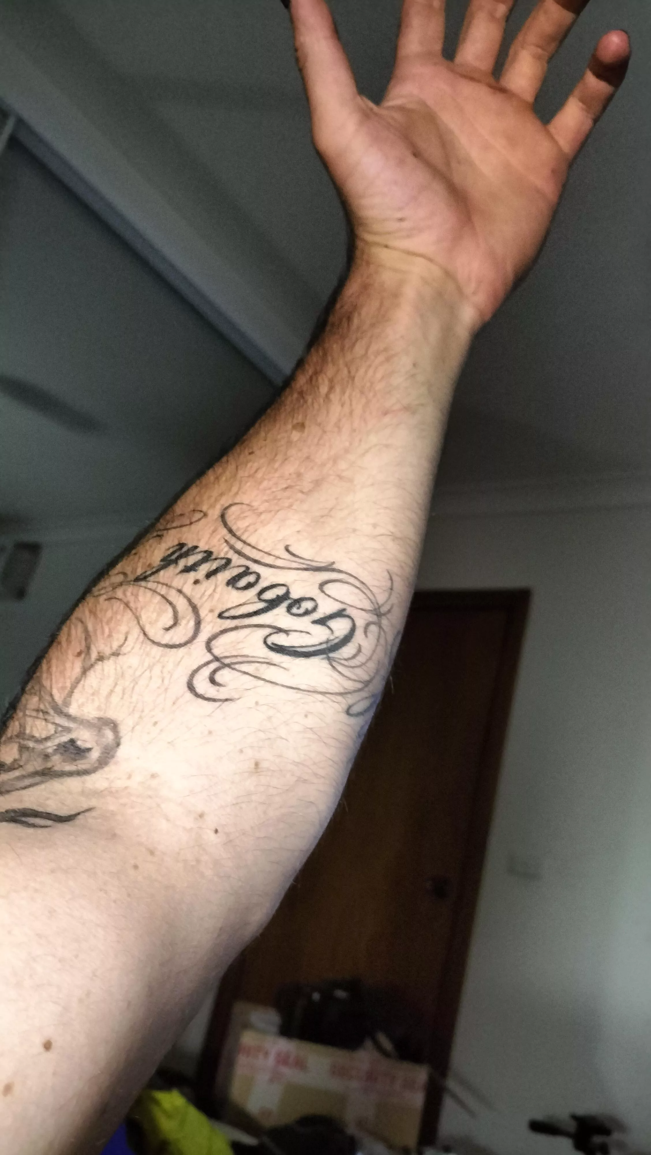 Enjoy posted by Magic_Tristan_Furvus