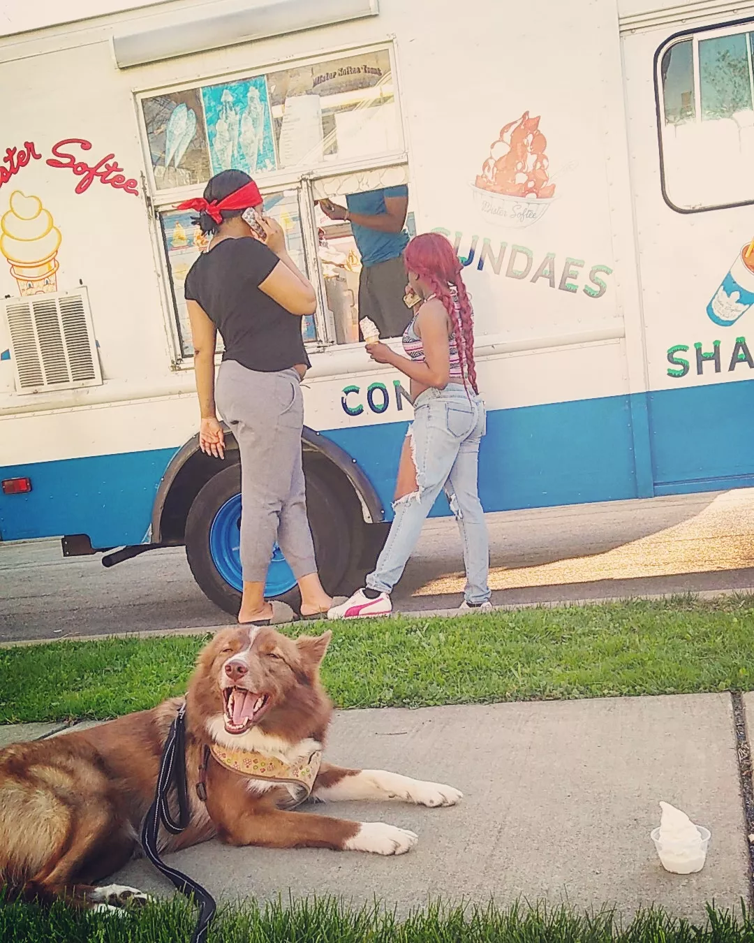 enjoy my dog at the ice cream truck posted by hopelesssofrantic