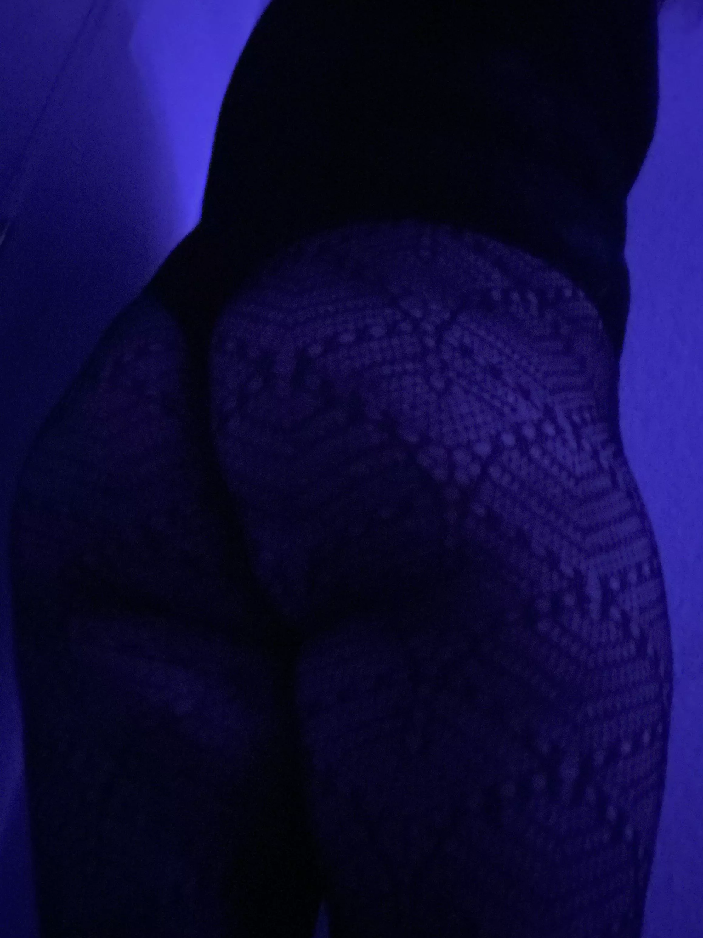 Enjoy 👅 posted by Alternative-Rush9251