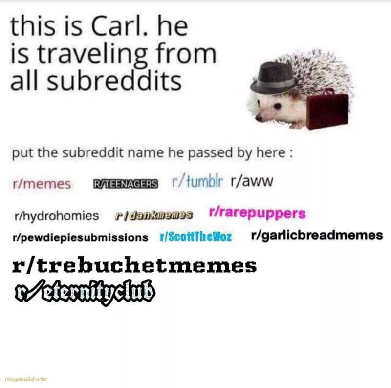 Enjoy your trip posted by hopelesssofrantic