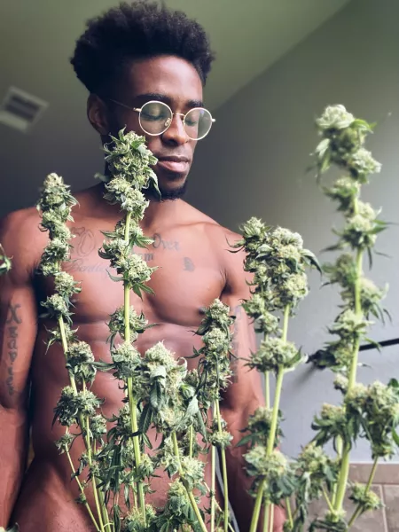 Enjoying so(m)e time with my lady before I harvest her by Weak_Presentation_28