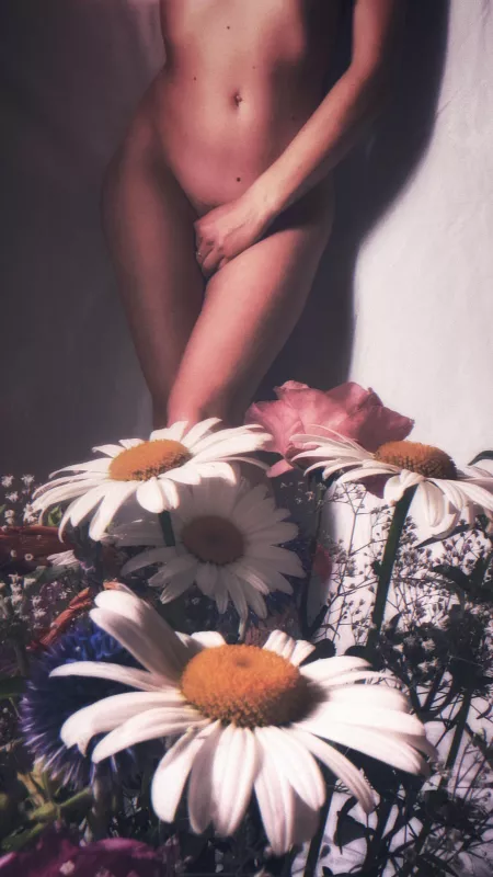 Envoyez des [f]leurs, pas des dick pics 🌸 by proximableue