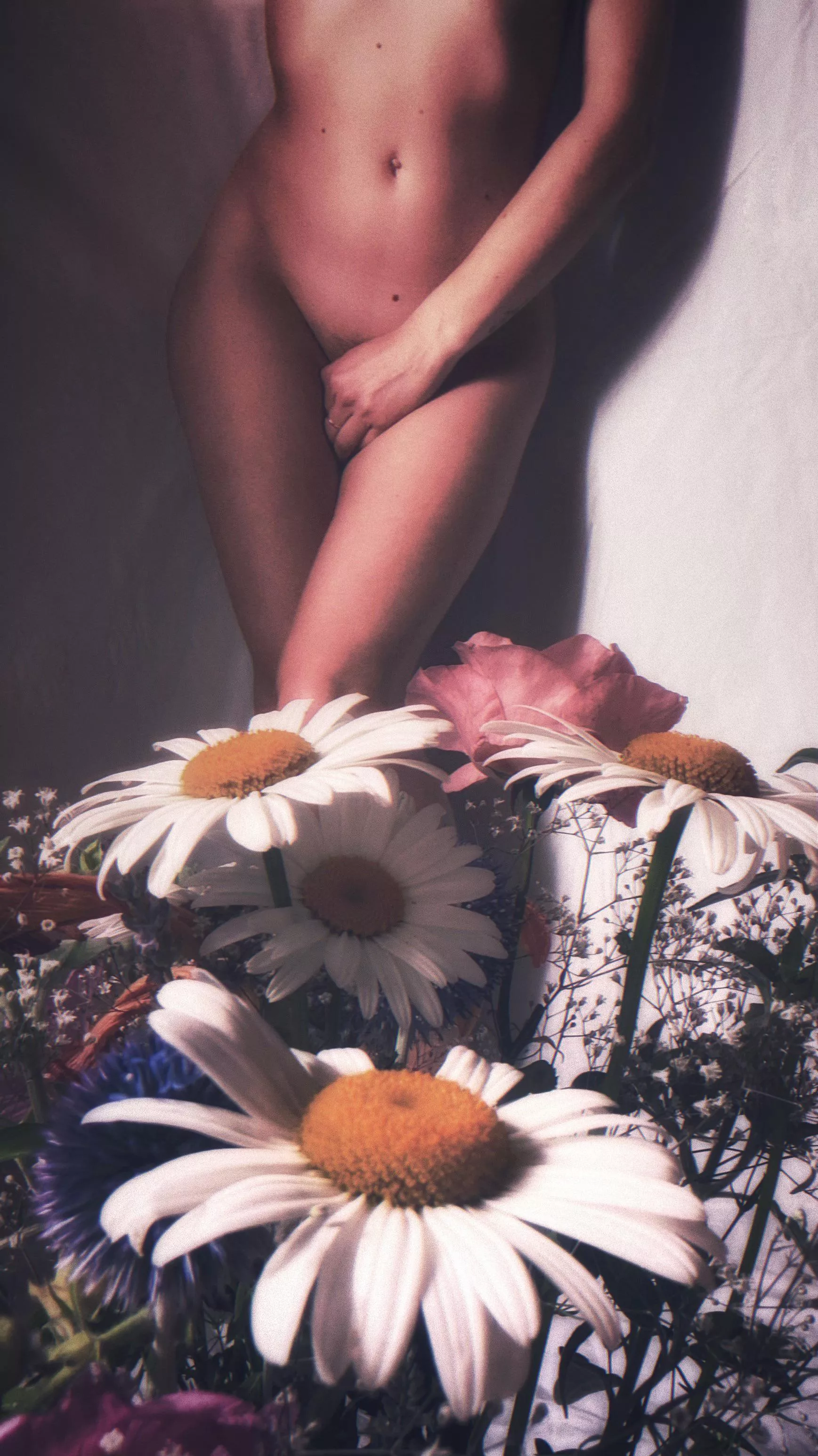 Envoyez des [f]leurs, pas des dick pics 🌸 posted by proximableue