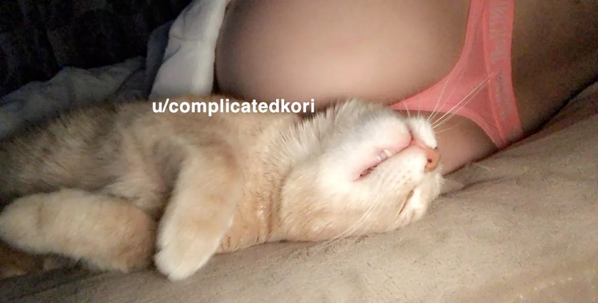 Even Bilbo likes my undies ♥️ posted by ComplicatedKori