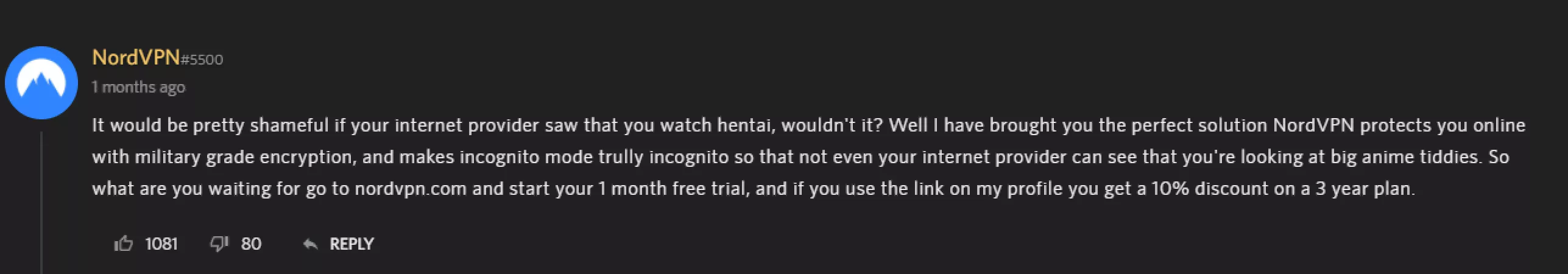 Even NordVPN struggles to hide those anime tiddies. by BeThesTa