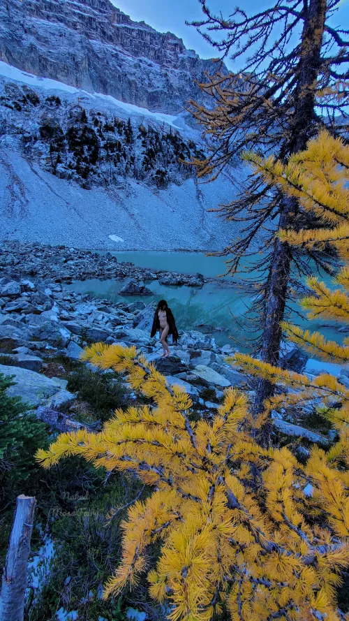 Even though it was freezing, I had to get naked with the Golden Larches!😋💛 by NakedMossFairy