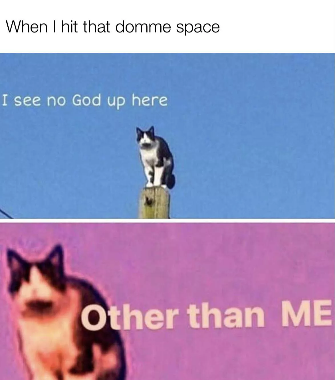 Even when I’m mildly aggressive posted by sexy-thoughts