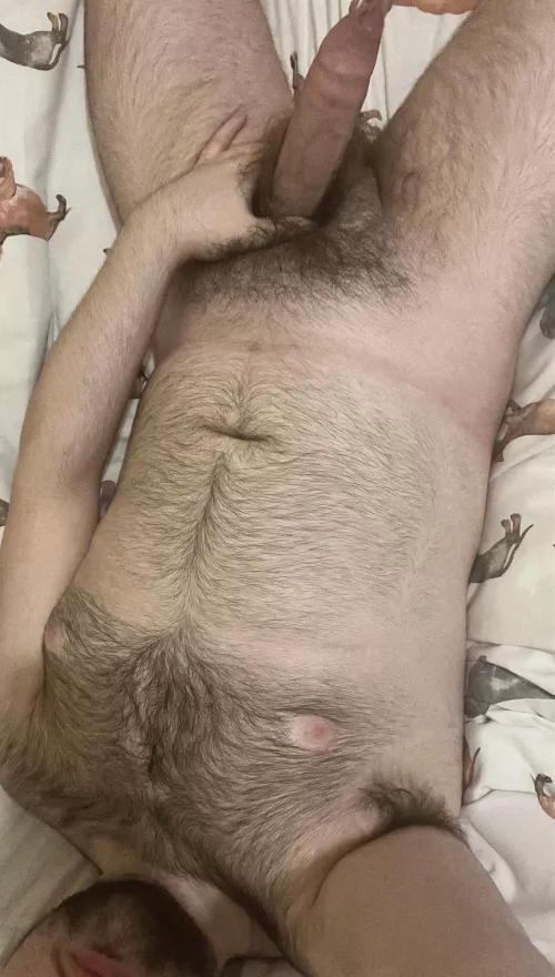 Evening bears, shall we have some fun? by AaronNotOkay