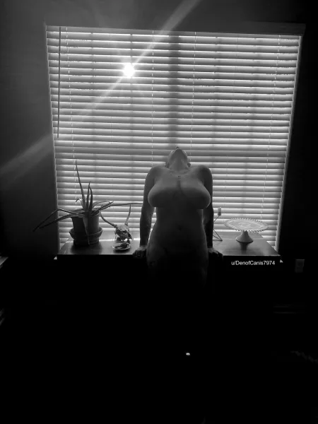 Evening light by DenofCanis7974