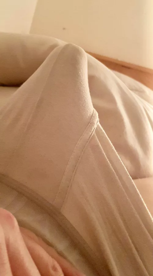 Evening snap by Ok_Top8971