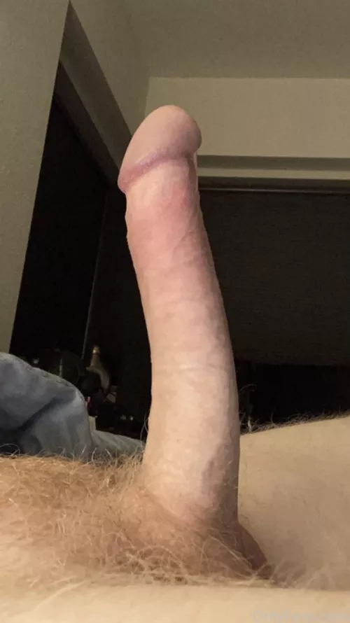 Evening stretch by GingerSomm