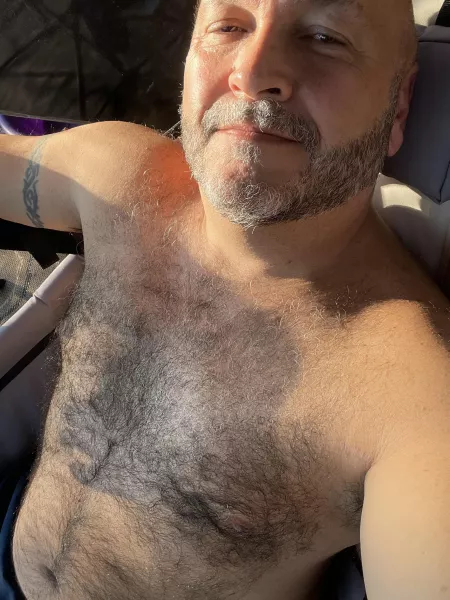 Evening sun on my fur! by Punkster61